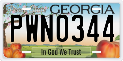 GA license plate PWN0344