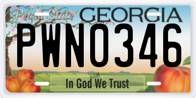 GA license plate PWN0346