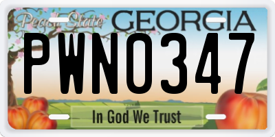 GA license plate PWN0347