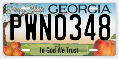 GA license plate PWN0348