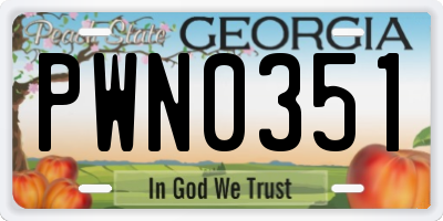 GA license plate PWN0351