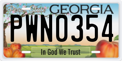 GA license plate PWN0354