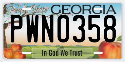 GA license plate PWN0358