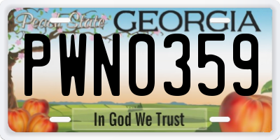 GA license plate PWN0359