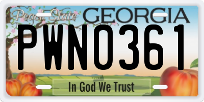 GA license plate PWN0361