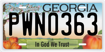 GA license plate PWN0363