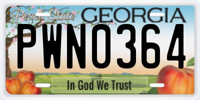GA license plate PWN0364