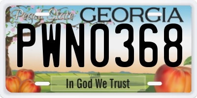 GA license plate PWN0368
