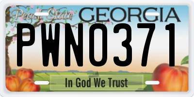 GA license plate PWN0371