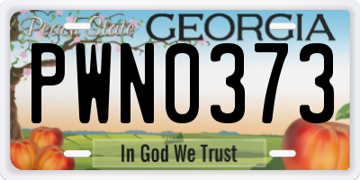 GA license plate PWN0373