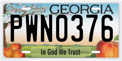 GA license plate PWN0376