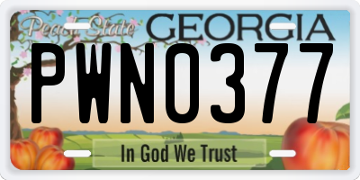 GA license plate PWN0377