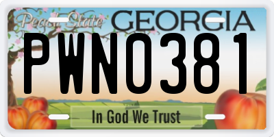 GA license plate PWN0381