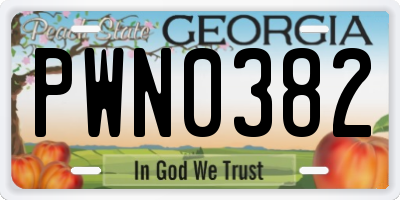 GA license plate PWN0382