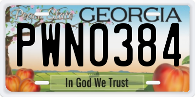 GA license plate PWN0384