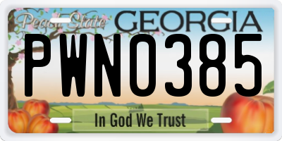 GA license plate PWN0385