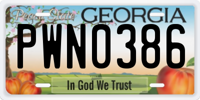 GA license plate PWN0386