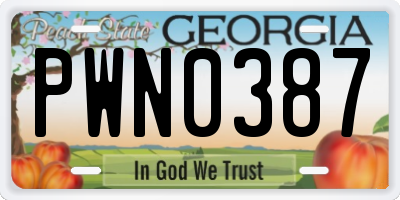GA license plate PWN0387