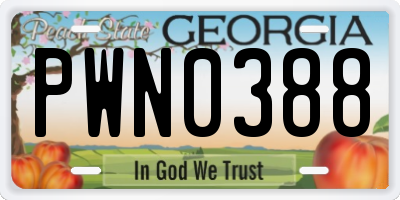 GA license plate PWN0388