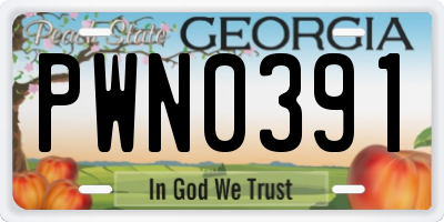 GA license plate PWN0391