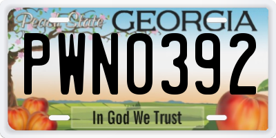 GA license plate PWN0392