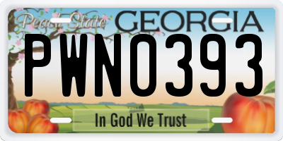 GA license plate PWN0393