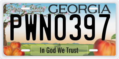 GA license plate PWN0397
