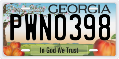 GA license plate PWN0398