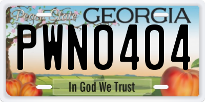 GA license plate PWN0404