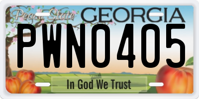 GA license plate PWN0405