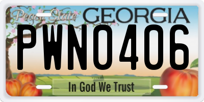 GA license plate PWN0406