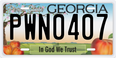 GA license plate PWN0407