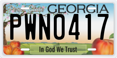 GA license plate PWN0417