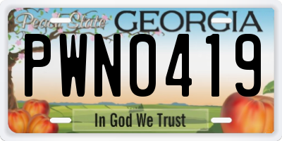 GA license plate PWN0419