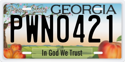 GA license plate PWN0421