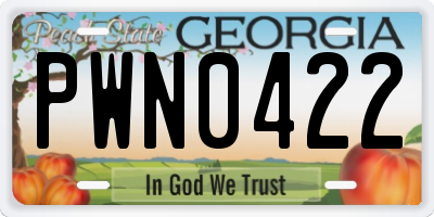 GA license plate PWN0422