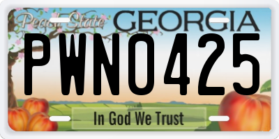 GA license plate PWN0425