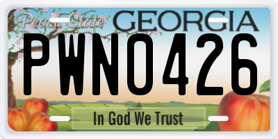 GA license plate PWN0426