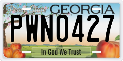GA license plate PWN0427