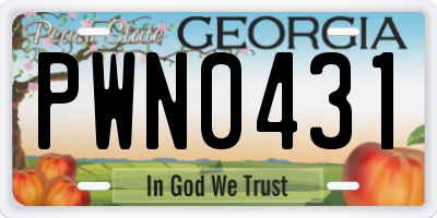 GA license plate PWN0431