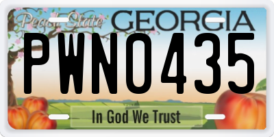 GA license plate PWN0435