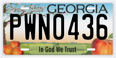 GA license plate PWN0436