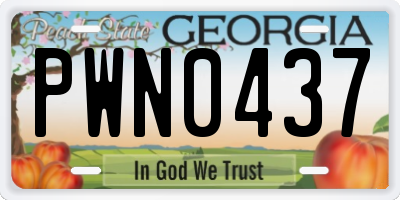 GA license plate PWN0437
