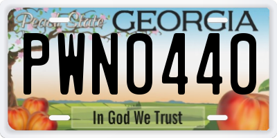 GA license plate PWN0440