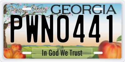 GA license plate PWN0441