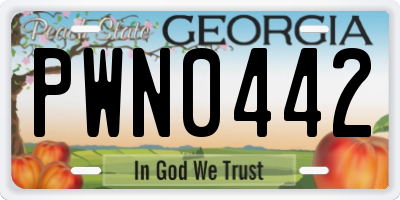 GA license plate PWN0442