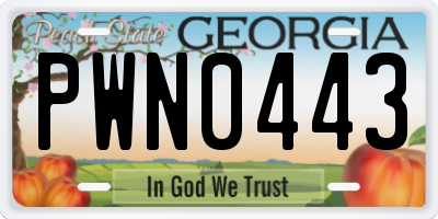 GA license plate PWN0443