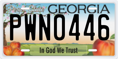 GA license plate PWN0446