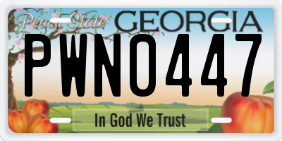 GA license plate PWN0447