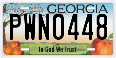 GA license plate PWN0448